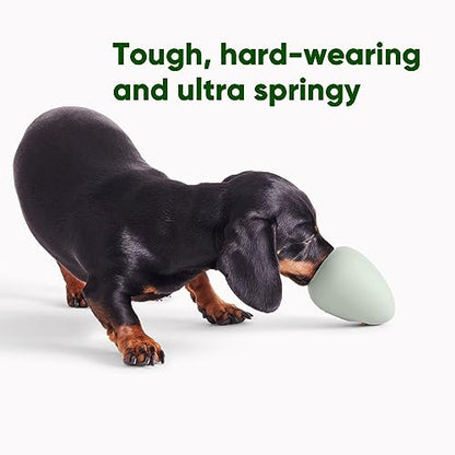 Beco Natural Rubber Bouncy, Chewy & Fillable Boredom Buster Dog Toy, Rolls & Wobbles Stuff with Multiple Fillable Holes, Blue - size: Pebble