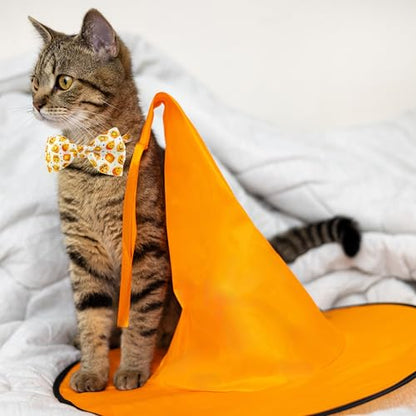 Halloween Cat Collar with Bell, Kitty Kitten Holiday Bow tie Collar Breakaway 2 Pack for Girl and Boys Male Female cat - color: Pattern E