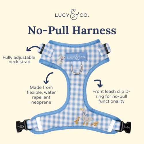 Lucy & Co. Silly Goose No-Pull Dog Harness, Adjustable Front Clip Harness with Comfort Padding, Small - color: Silly Goose, size: Small