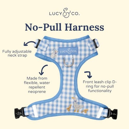Lucy & Co. Silly Goose No-Pull Dog Harness, Adjustable Front Clip Harness with Comfort Padding, Small - color: Silly Goose, size: Small