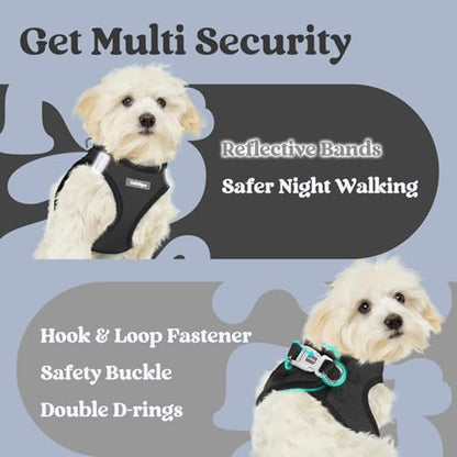 rabbitgoo Small Dog Harness, Step-in Soft Mesh Puppy Vest with Safety Buckle, Breathable Reflective Pet Harness for Extra Small Dogs, Black XXXS - color: Black, size: Xxxs(chest:10.8"-11.8")