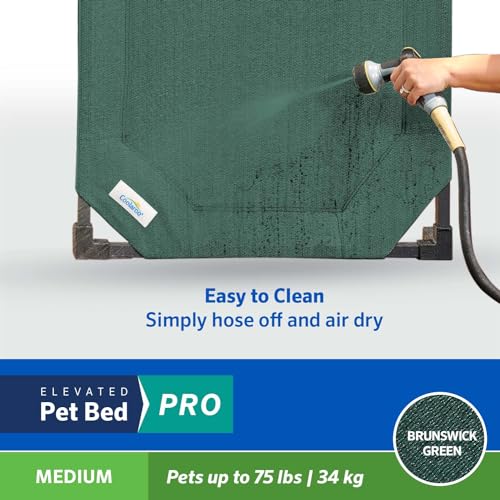 Coolaroo Pro Elevated Dog Bed - Low-Profile Access, Moisture-Resistant Cover, Breathable Fabric & Tool-Free Setup, Brunswick Green, Medium - color: Brunswick Green, size: Medium