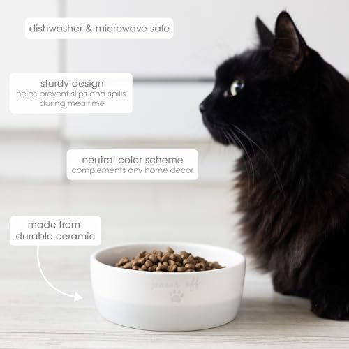 Pearhead Paws Off Ceramic Cat Bowl, Holds 1.3 Cups, Small Food and Water Bowl for Cats, Pet Dish, Microwave and Dishwasher Safe (Pack of 2) - color: Gray "Paws Off", size: Bowl Set