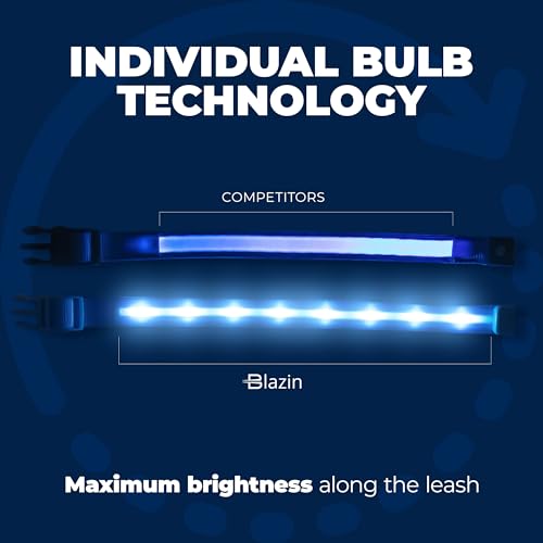 BLAZIN Light Up Dog Leash LED - 1,000 Feet of Visibility - USB Rechargeable Waterproof Glow in The Dark Dog Leash - 6 Foot, Black