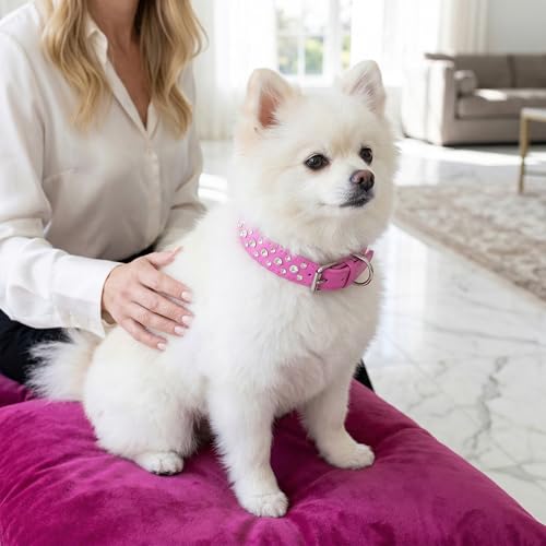 Rhinestone Dog Collar, Bling Rhinestone PU Leather Crystal Diamond Pet Dog Cat Puppy Collar Black S M L XL (S, White) - color: White, size: S