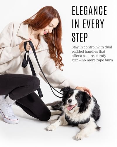 Fei & Eve Classic Dog Leash - 6FT, Dual Padded Handles, 360° Swivel Hook, Heavy Duty 210D Nylon - No-Pull Design with Traffic Control Handle - for Small/Medium/Large Dogs, Black - color: Black, size: 6FT