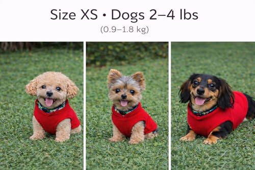 JACKO & CO - Fleece Vest Dog Sweater with Leash Ring - Soft, Warm & Lightweight Pullover Coat for Small & Medium Dogs, Puppies & Cats - Cozy Fall/Winter/Spring Pet Jacket (Red, X-Small 2-4lbs) - color: Red, size: XS (2-4lbs)