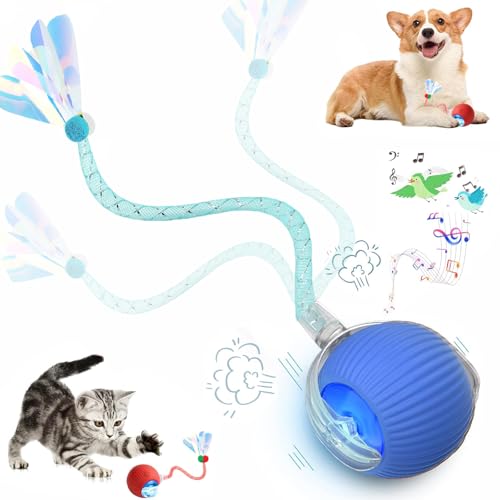 Speed 2.0 Tail Interactive Cat Toys for Indoor Cats, Chirping & Motion Activate Ca t Toy, Smart Kitten Rolling Ball Moving Ball Toys, Rechargeable Dog Cat Bal l for Enrichment Exercise (Blue) - color: Blue
