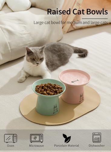 Extra Wide Elevated Ceramic Cat Bowls, 6.5 Inch Raised Pet Bowl Set for Food & Water, Whisker Fatigue Shallow Food Dish for Elder Big Cats Small Dogs, Set of 2, Green & Pink - color: Green & Pink