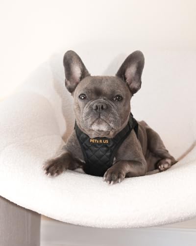 Step in Dog Cat Harness Choke Free Escape Proof Pet Vest Quilted Vegan Leather Breathable Mesh Padded for Small Medium Dogs (Black, Large) - color: Black, size: Large: Neck=12.5-14''/Chest:18-21''