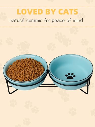 GDCZ Ceramics Raised Cat Bowls with Heighten Metal Stand,15 Ounces Turquoise - color: Turquoise