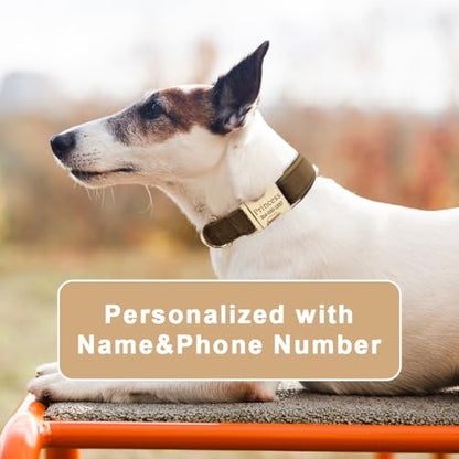 Personalized Custom Dog Collar with Engraved ID Tag Name Plate & Phone Number Customized Soft Velvet Cat Collar Quick Release Metal Buckle, Leash, Bowtie, Poop Bag Available for Small Medium Large Pet