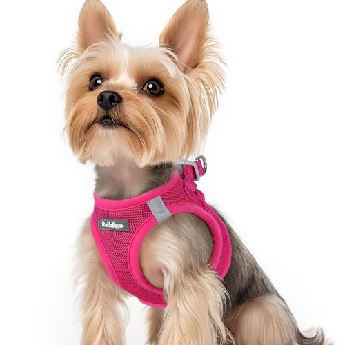rabbitgoo Small Dog Harness, Step-in Soft Mesh Puppy Vest with Safety Buckle, Breathable Reflective Pet Harness for Small Sized Dogs, Rose Red XS - color: Rose Red, size: Xs(chest:13.3"-15.5")