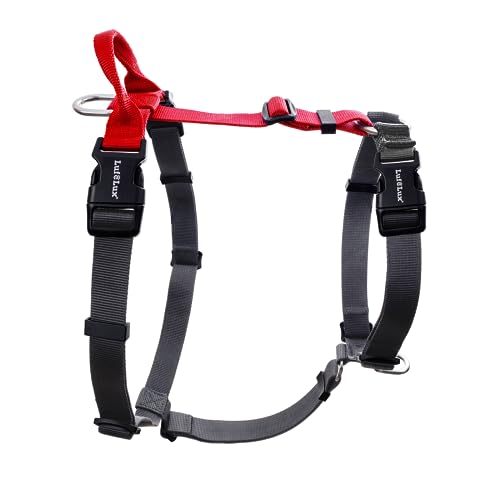 Non-Restrictive Dog Harness, Easy Walk Freedom No Pull Harness, Keep Balance, Neck-Buckle, Six Points Adjustment, 2 Leash Clips for Back and Front Clip (Red/Black, X-Small) - color: Red/Black, size: XS