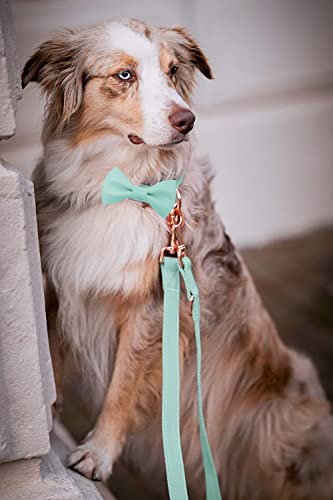 Soft Leather Bowtie Dog Collar - Adjustable Cute Bow Tie Collar [Easy to Clean] with Stylish Rose Gold Heavy Duty Metal Buckle for Small Medium Large Dogs Mint Green S - color: Mint Green, size: S(12.2"-16.9")
