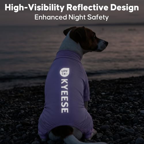 KYEESE UV Protection Dog Shirt, UPF 50+ Cooling Summer Jumpsuit for Small Dogs, Breathable Reflective Shedding Control Dog Sun Shirts, Quick-Dry Dogs Onesie Puppy Clothes, Purple, S - color: Purple, size: Small (6-10lbs)
