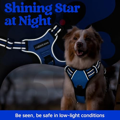 rabbitgoo Dog Harness Small Sized, No Pull Dog Vest with 3 Buckles, Adjustable Soft Padded Pet Harness with Easy Control Handle and Reflective Strips, Royal Blue, S - color: Royal Blue, size: Small