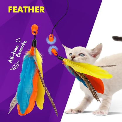 Cat Amazing Snatch Pack - 5 Magnetic Attachments for The Snatch Magnetic Wand Toy - Catnip Mouse, Rattle Snake, Crinkle Fish, Scrunchy Ball and Feather - Cat Teaser Toys - Really Catch! - style: Snatch Pack - 5 Attachments