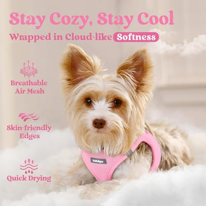 rabbitgoo Small Dog Harness, Step-in Soft Mesh Puppy Vest with Safety Buckle, Breathable Reflective Pet Harness for Small Sized Dogs, Light Pink XS - color: Light Pink, size: Xs(chest:13.3"-15.5")