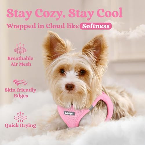 rabbitgoo Small Dog Harness, Step-in Soft Mesh Puppy Vest with Safety Buckle, Breathable Reflective Pet Harness for Small Sized Dogs, Light Pink M - color: Light Pink, size: M(chest:16.0"-18.5")
