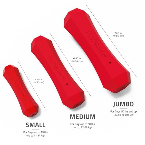 Playology Dog Toys | Squeaky Chew Stick for Large Dogs | Beef Scented Jumbo Fetch Toy | Squeaky Dog Chew Toy - size: Jumbo, style: Beef