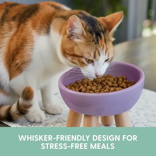 The Cat Ladies Tilted Ceramic Cat Bowl - Elevated Food Bowls Ceramic Pet Bowl - Raised Ceramics Bowls - Elevated & Tilted Design for Comfortable Eating - Dishwasher Safe - Wide Opening - color: Lilac