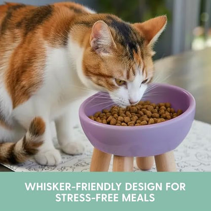 The Cat Ladies Tilted Ceramic Cat Bowl - Elevated Food Bowls Ceramic Pet Bowl - Raised Ceramics Bowls - Elevated & Tilted Design for Comfortable Eating - Dishwasher Safe - Wide Opening - color: Lilac