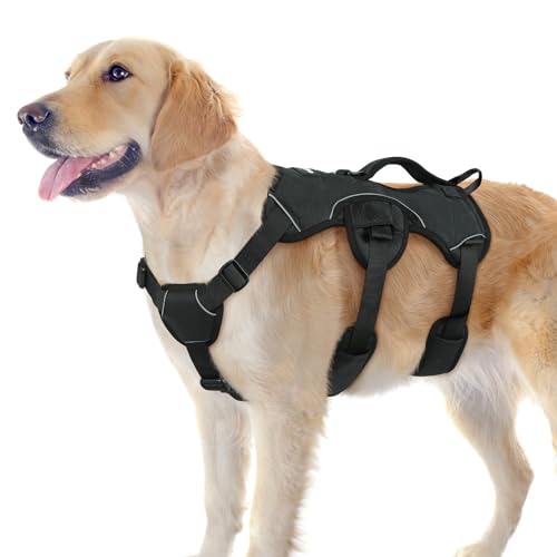 rabbitgoo Escape Proof Dog Harness, Soft Padded Full Body Pet Harness, Reflective Adjustable No Pull Vest with Lift Handle and Leash Clip for Large Dogs Walking Hiking Training, L, Black - color: Black, size: Large (Pack of 1)