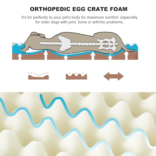 Medium Dog Crate Bed Mats Orthopedic Dog Bed,Egg Crate Foam Dog Mat with Removable Cover, a Squeaker Toy as Gift - size: Medium-30"x20"x3"