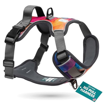 Embark Adventure Small Dog Harness – No-Pull, Reflective Trim, Military-Grade Nylon, Front Clip with Gel-Lined Handle, Soft & Padded Puppy Harness - color: Aurora, size: S