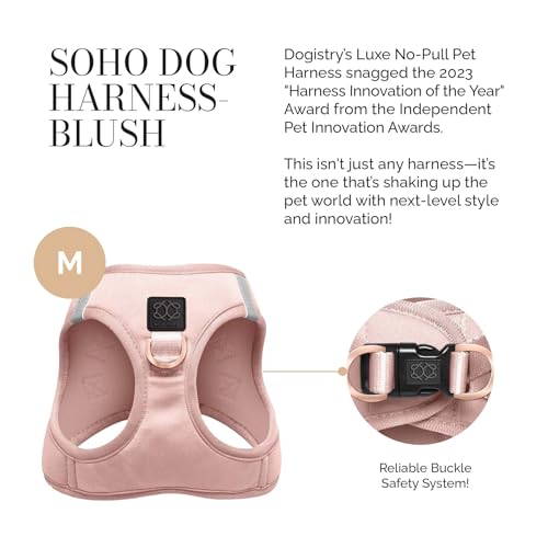 The DOGISTRY - SoHo Dog Harness - Blush Pink - Award-Winning Luxe No-Pull Design - Crafted for Style, Ease & Innovation - M (11-14lbs) - size: Medium
