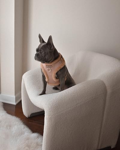Premium No-Pull Dog Harness Soft Neoprene & Breathable Mesh Vest with Front & Back Clip D-Rings Adjustable Lightweight Walking Harness for Puppies, Small & Medium Dogs (Beige Fur Trim, M) - color: Beige Fur Trim, size: M: Neck=15.4-20.1''/Chest=18.1-24.4'