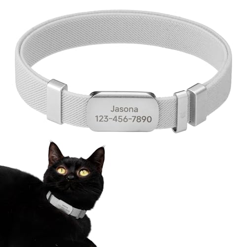 Anti-Choke Elastic Cat Collar and Personalized Name Tag Set, U.S IDA Gold Award Non Breakaway Cat Collar Engraved ID Tag Personalized Cat Collar for Kitten Small Large Cats (Silver, M) - color: Silver, size: M