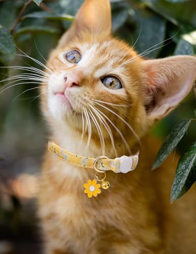 Cat Collar Breakaway with Bells,3 Pack Safety Adjustable Pet Collars,Ideal for Girl Boy Kittens. (White Yellow Pink) - color: white yellow pink