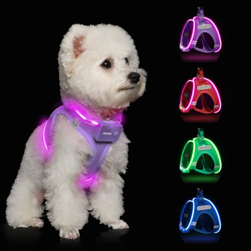 Light Up Dog Harness,Rechargeable LED Dog Harness for Small Medium Large Dogs,Reflective Lighted Safety Vest for Night Walking & Camping,Lightweight & Adjustable,Lavender Purple,M - color: Lavender Purple, size: M
