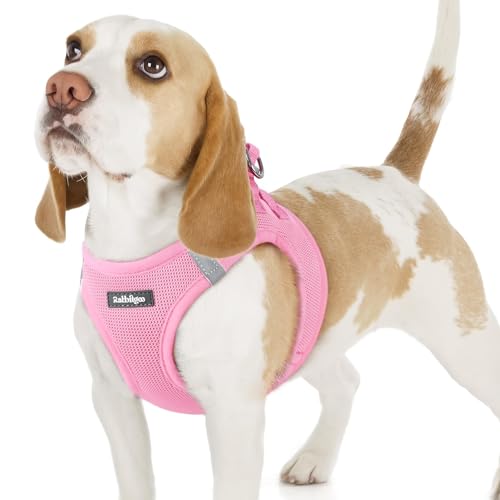 rabbitgoo Small Dog Harness, Step-in Soft Mesh Puppy Vest with Safety Buckle, Breathable Reflective Pet Harness for Small Sized Dogs, Light Pink M - color: Light Pink, size: M(chest:16.0"-18.5")