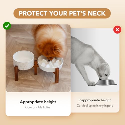 Havniva 1.2 Cup Elevated Slow Feeder Dog Bowls, 7.3” Dog Slow Feeding Bowls + 6.1” Ceramic Dog Water Bowls Set with Acacia Wood Stand, Dog Food Bowls Puzzle Feeder for Small Dogs Non-Slip Anti-choking - color: 2 x White + Stand - C, size: M- 7.3inch / 1.2