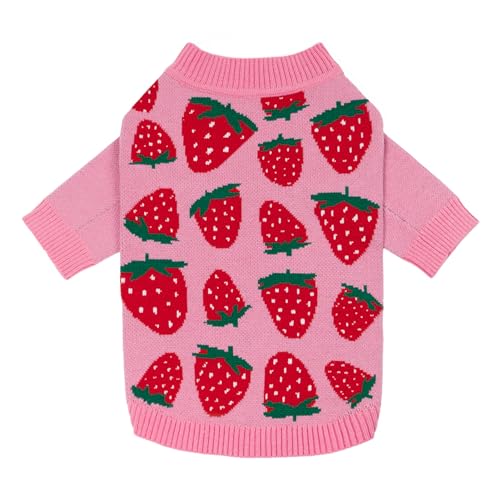 Fitwarm Adorable Strawberry Dog Sweater, Thermal Dog Winter Clothes for Small Dogs Girl, Pet Outfit, Pink, Red, White, Green, Small - color: Strawberry, size: Small