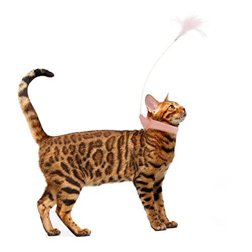 POPETPOP Cat Toy Feather Teaser Rod with Collar Kitten Teaser Toy for Indoor Play Exercise