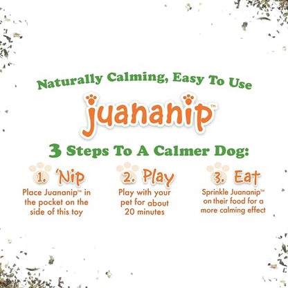 Doggijuana Refillable Juananip Toy Bundle | Taco Bundle | Funny Dog Toy Plush with Catnip and Refill | Calming Aid for Dogs | Interactive Chew Toy for Play - style: Taco