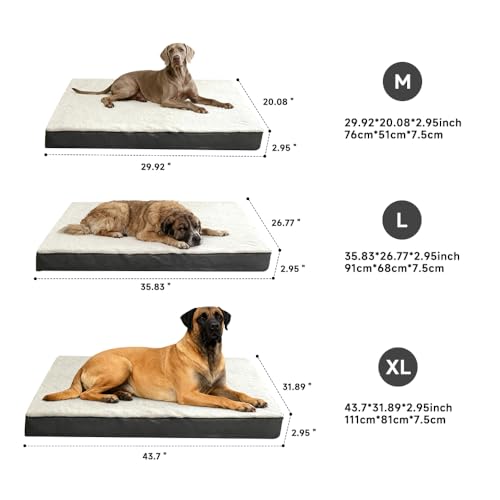 Dog Beds Large Sized Dogs，It Features a Removable and Washable Waterproof Fabric Layer, and a Soft and Comfortable Egg-Shaped Surface Dog Bed Mats.29.92inch*20.08inch*2.95inch - size: Medium