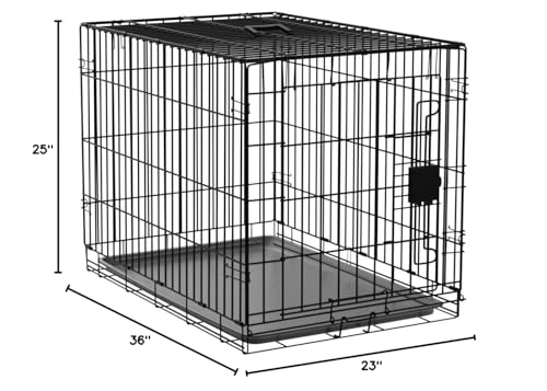Amazon Basics Portable Metal Wire Dog Crate with Removable Tray, Single Door with Divider Panel, Foldable, Collapsible, Easy to Assemble & Clean, 36" x 23" x 25", Black - size: 36 x 23 x 25 in, style: Single Door w/ Divider