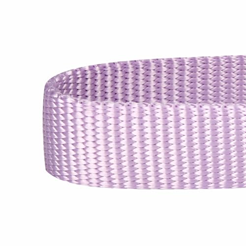 Blueberry Pet Essentials Matching Harness, Collar & Leash Set in Lavender, Adjustable Nylon for Medium & Large Breeds - color: Lavender - Collar + Leash + Harness, size: Large
