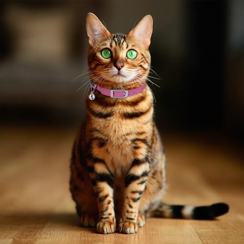 OOPSDOGGY Rolled Leather Cat Collar with Bell, Reflective Kitten Collars with Buckle Include Safety Elastic Strap - Adjustable Small Pet Collars for Boy Girl Cats (Fucsia) - color: Fucsia
