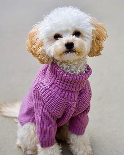 Fitwarm Thermal Knitted Dog Sweater Doggy Winter Coat Pet Clothes Doggie Turtleneck Jacket Puppy Outfits Cat Sweatsuit Lavender Purple XS - color: Purple, size: X-Small