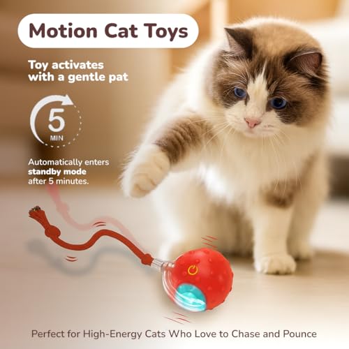 Interactive Cat Toy Ball for Indoor Cats – Fast Rolling on Carpet, Motion Activated with Chirping Sounds, Smart Play Toy (Crimson) - color: Crimson