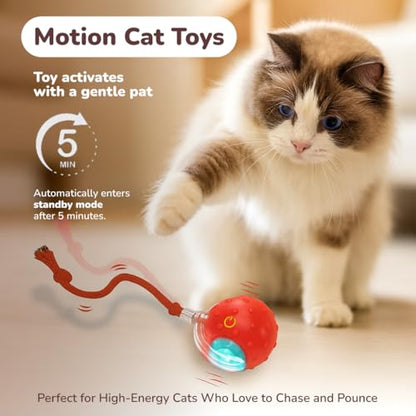 Interactive Cat Toy Ball for Indoor Cats – Fast Rolling on Carpet, Motion Activated with Chirping Sounds, Smart Play Toy (Crimson) - color: Crimson
