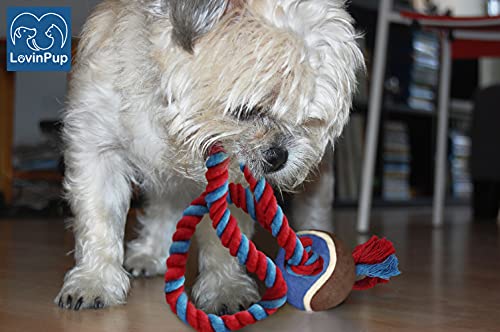 Dog Rope Toy with Tennis Ball (11”) – Strong Tug Toys for Dogs for Interactive Play & Bonding – Non-Abrasive Felt Dog Tennis Balls w/Rope for Puppies & Moderate Chewers – 3-Pack Blue - size: 3 set Rope Dog Toy Blue Ball