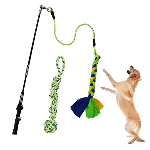 Flirt Pole for Dogs Heavy Duty, Interactive Chase & Tug of War Teaser Wand with Detachable Replacement Knot Ball and Rope Chewing Toys Flirt Stick for Small Medium Large Dogs Exercise & Training - color: green