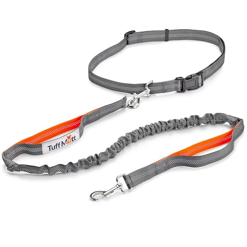 Tuff Mutt Hands Free Dog Leash for Walking Running Hiking, Waist Leash with Bungee, Adjustable Belt, Reflective Double Handle Design for Large Medium Dogs - color: gray/orange